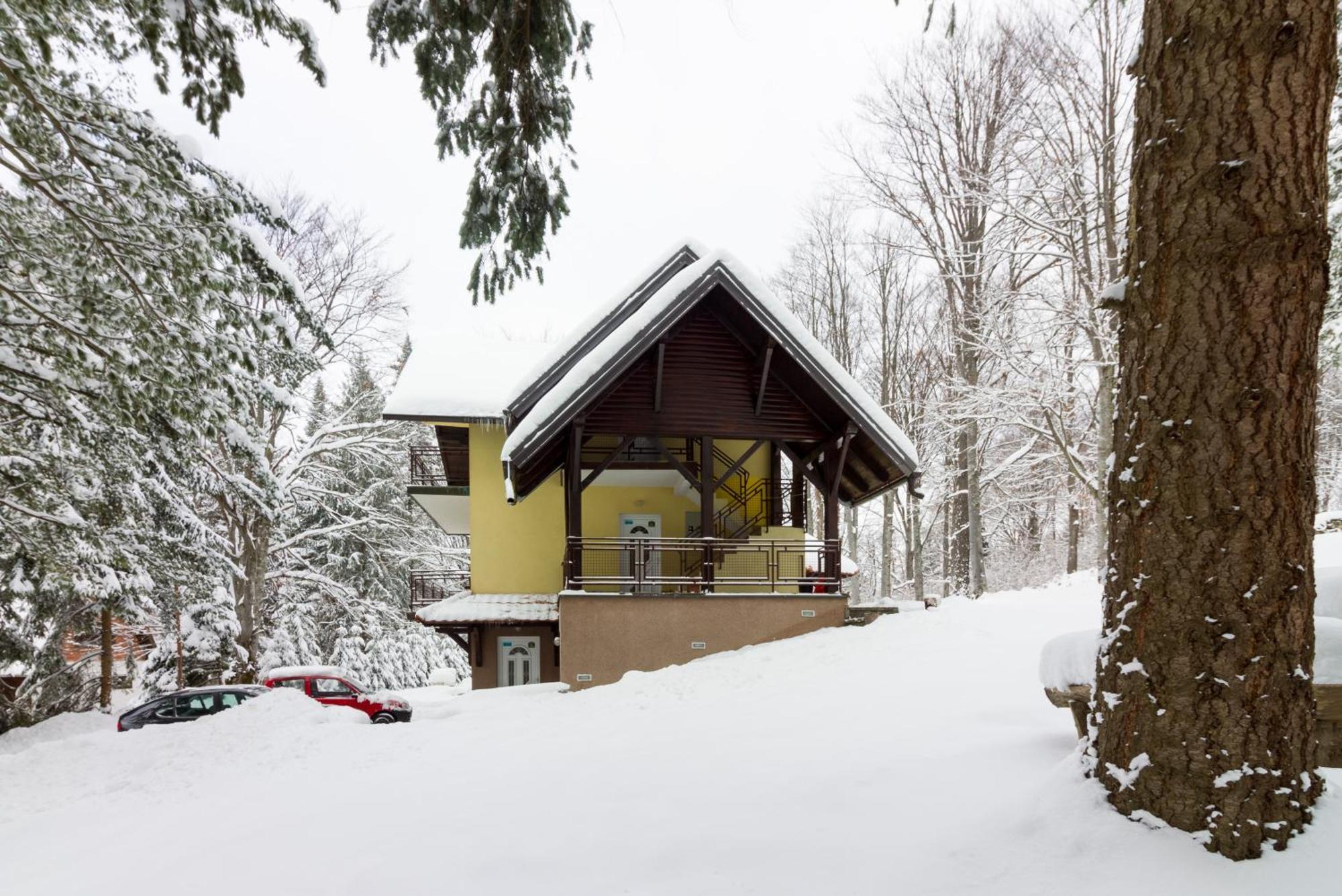 Vila Savinka Златибор Екстериор снимка