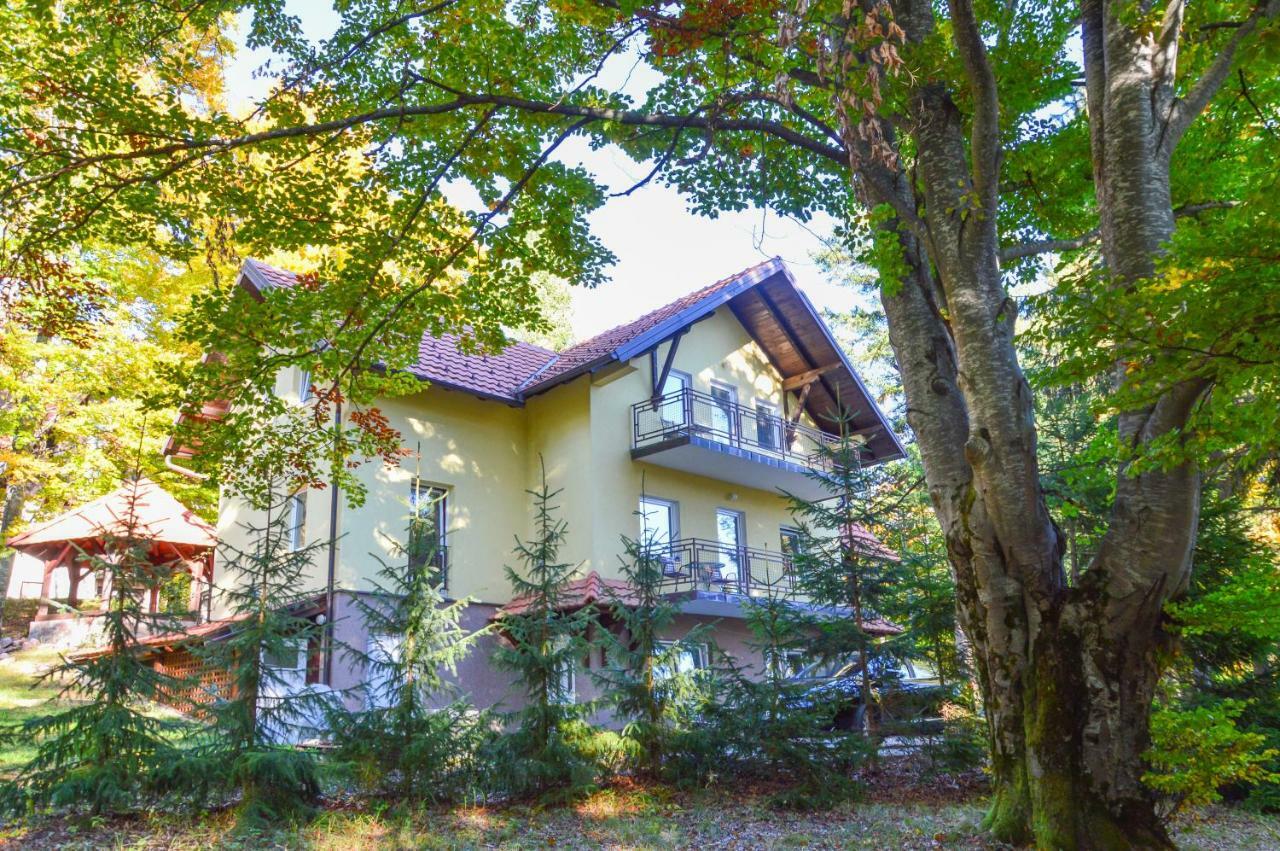 Vila Savinka Златибор Екстериор снимка